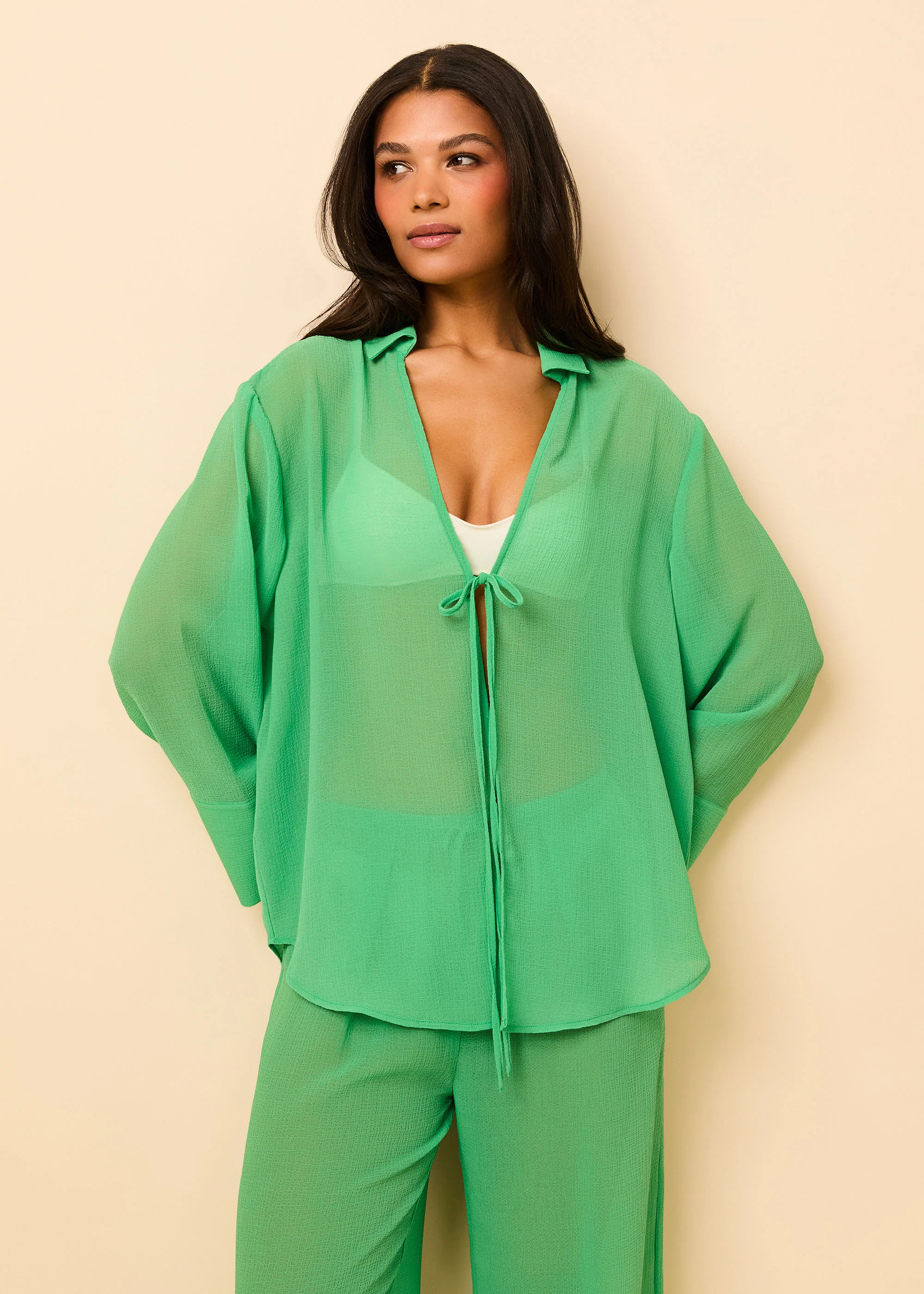 Jaclyn Tunic Crinkle Sheer Turtle Green - Image 4